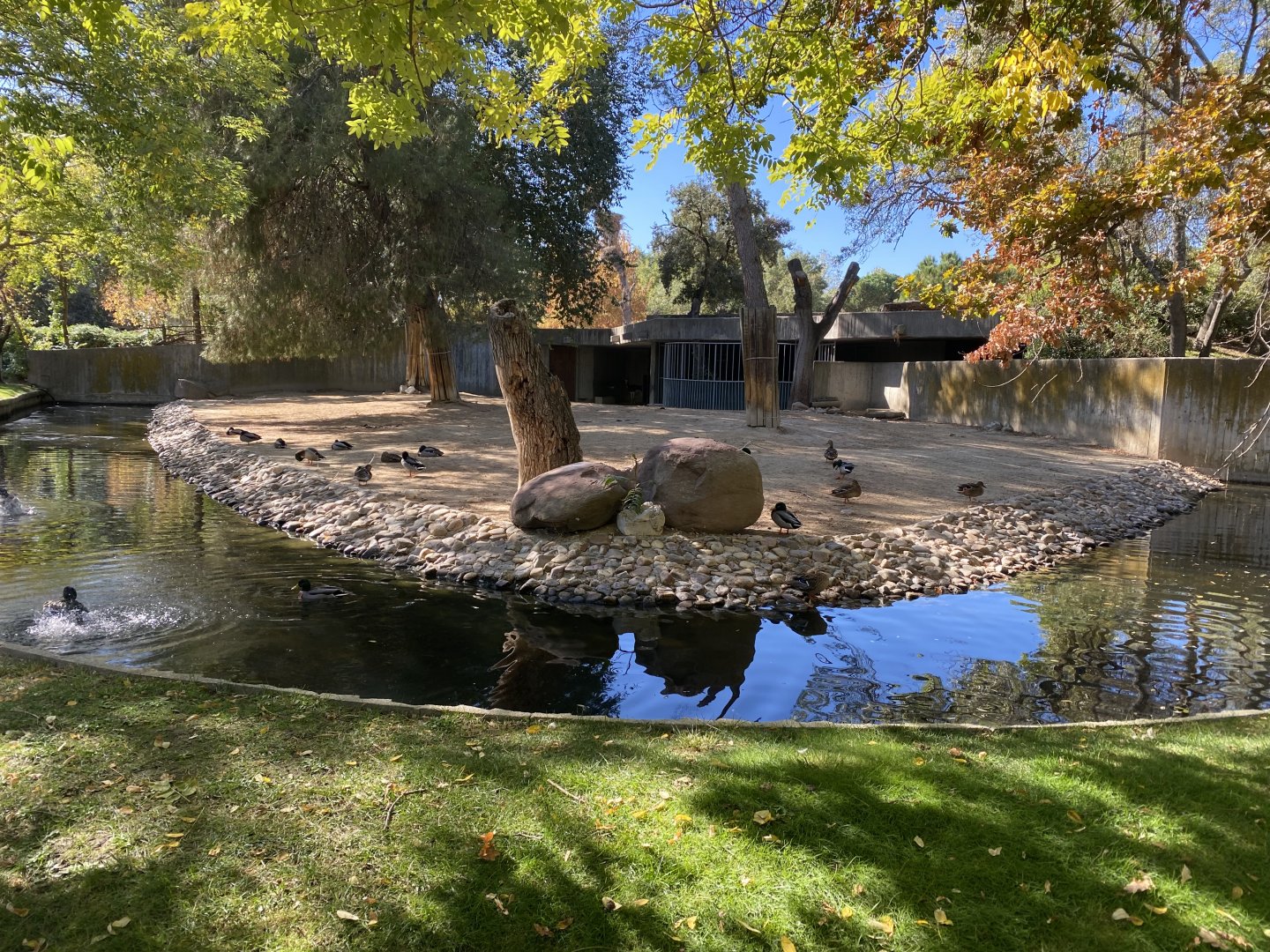 Dama gazelle enclosure