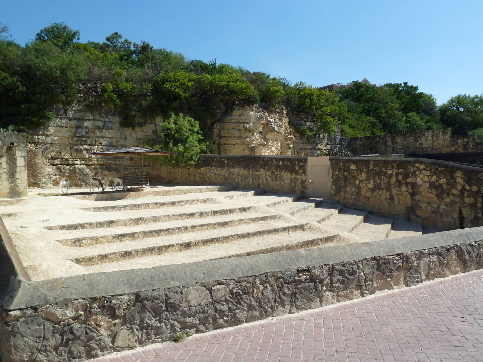 Dama Gazelle Exhibit