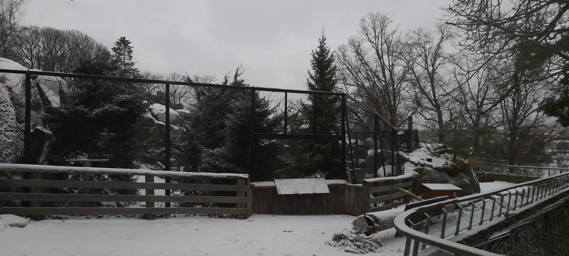 Damaged great grey owl cage