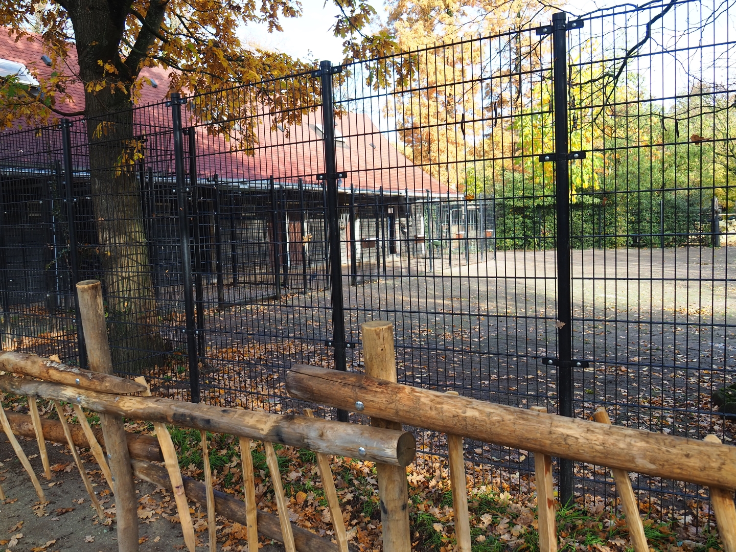 Damara zebra and common ostrich stable and separation paddocks (Nov 10th, 2018)