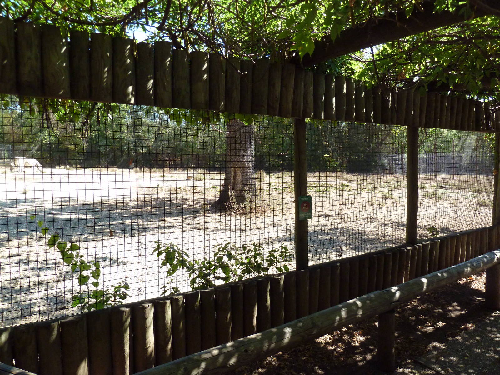 Damara Zebra Exhibit