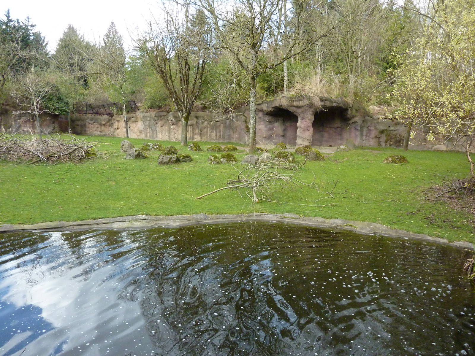 Damara Zebra + Gerenuk Exhibit