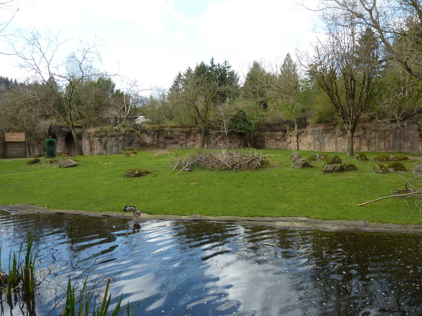 Damara Zebra + Gerenuk Exhibit