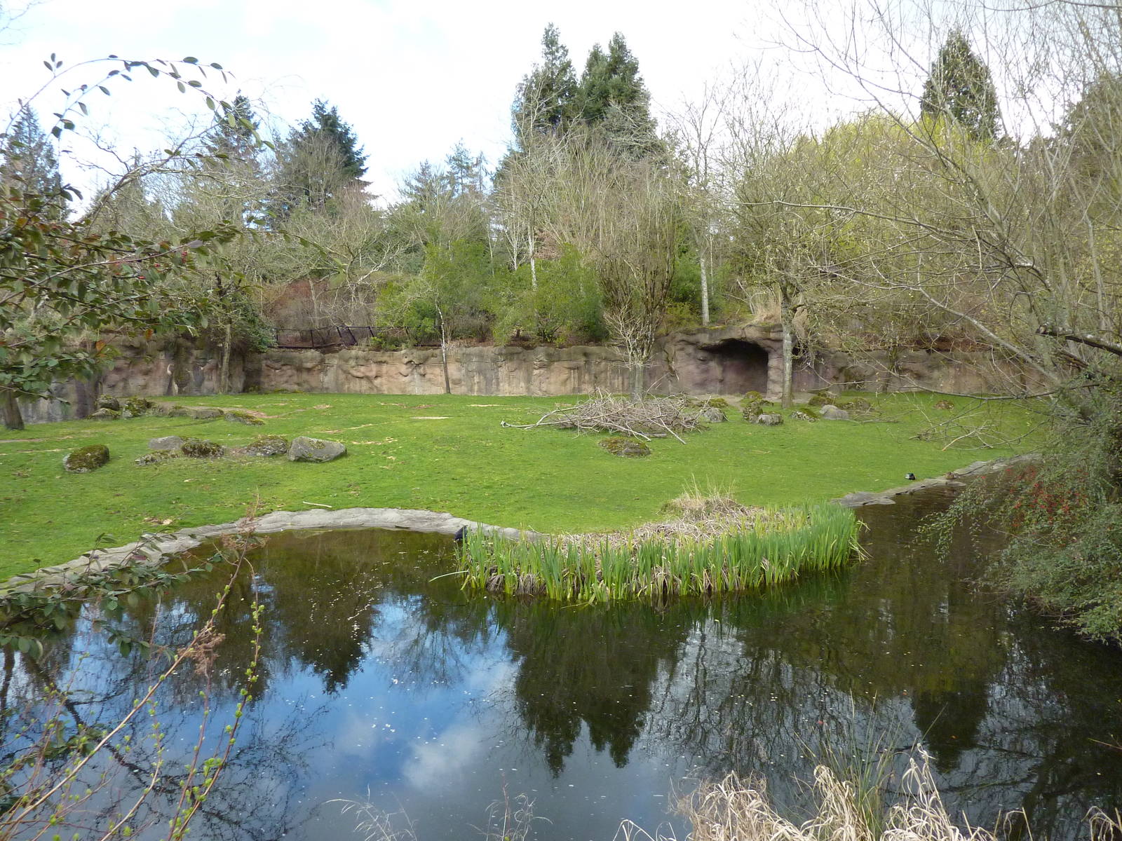 Damara Zebra + Gerenuk Exhibit