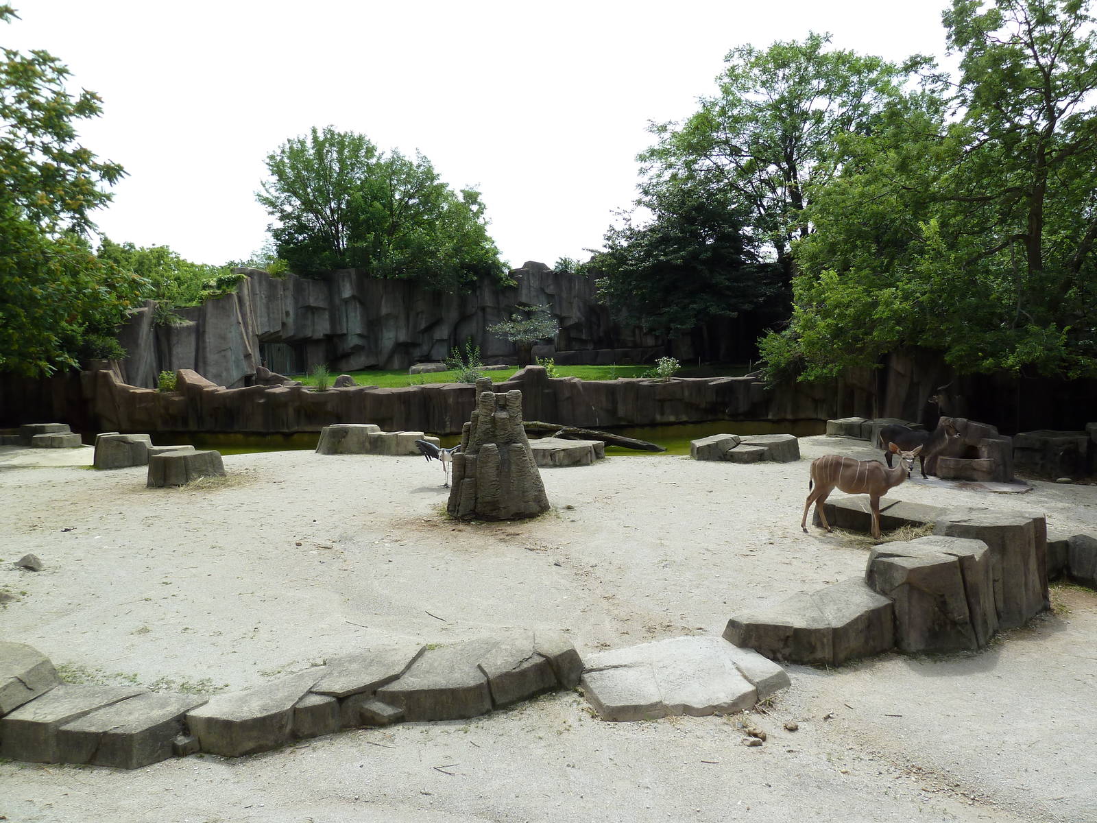 Damara Zebra/Ostrich/Eland/Waterbuck/Marabou Stork Exhibit