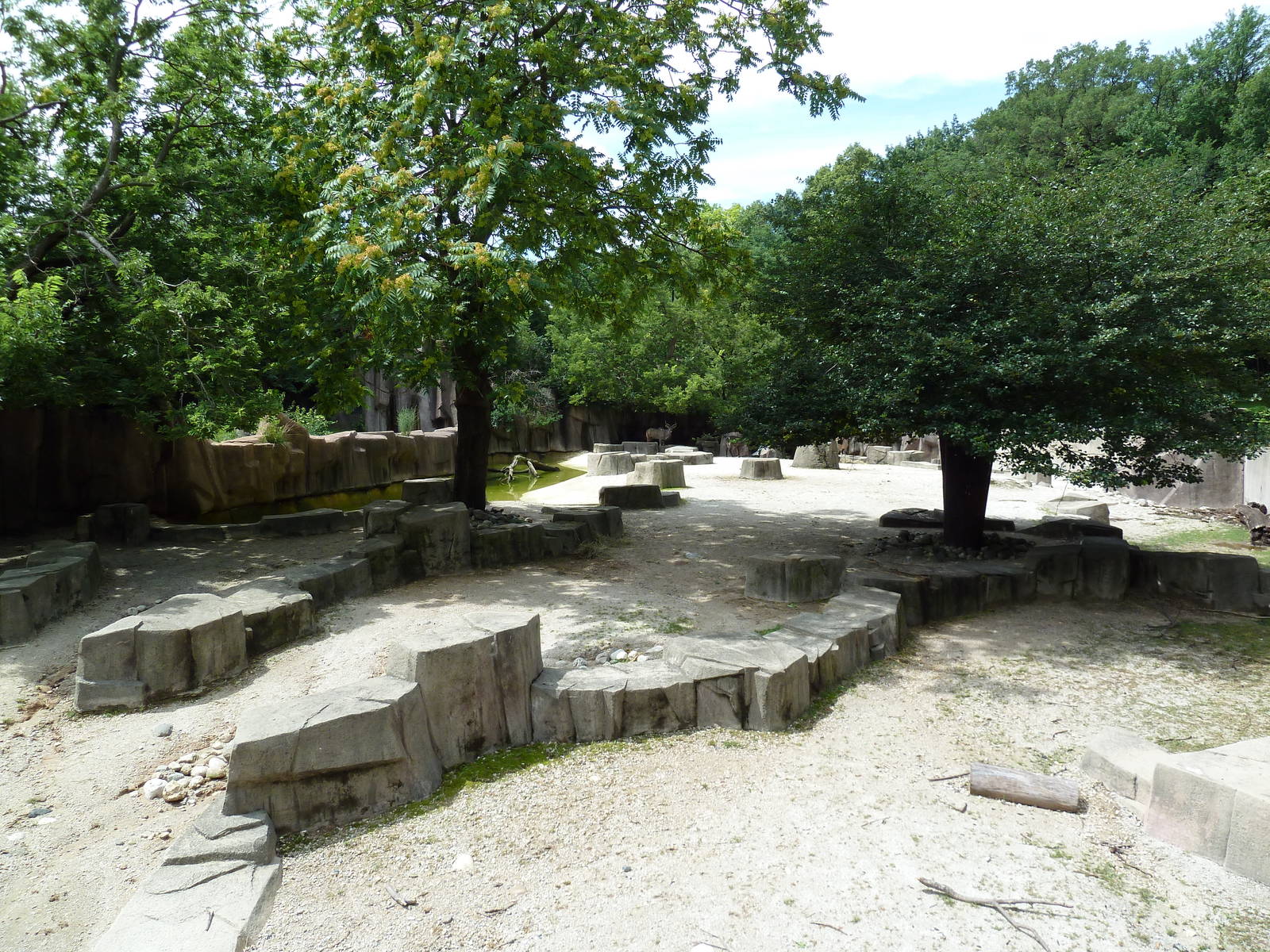 Damara Zebra/Waterbuck/Eland/Marabou Stork/Ostrich Exhibit