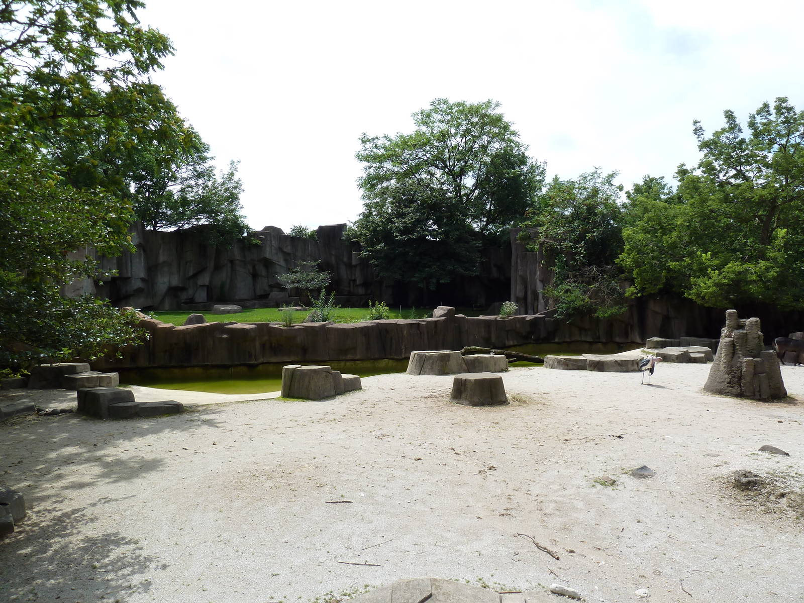 Damara Zebra/Waterbuck/Eland/Marabou Stork/Ostrich + Lion Exhibits