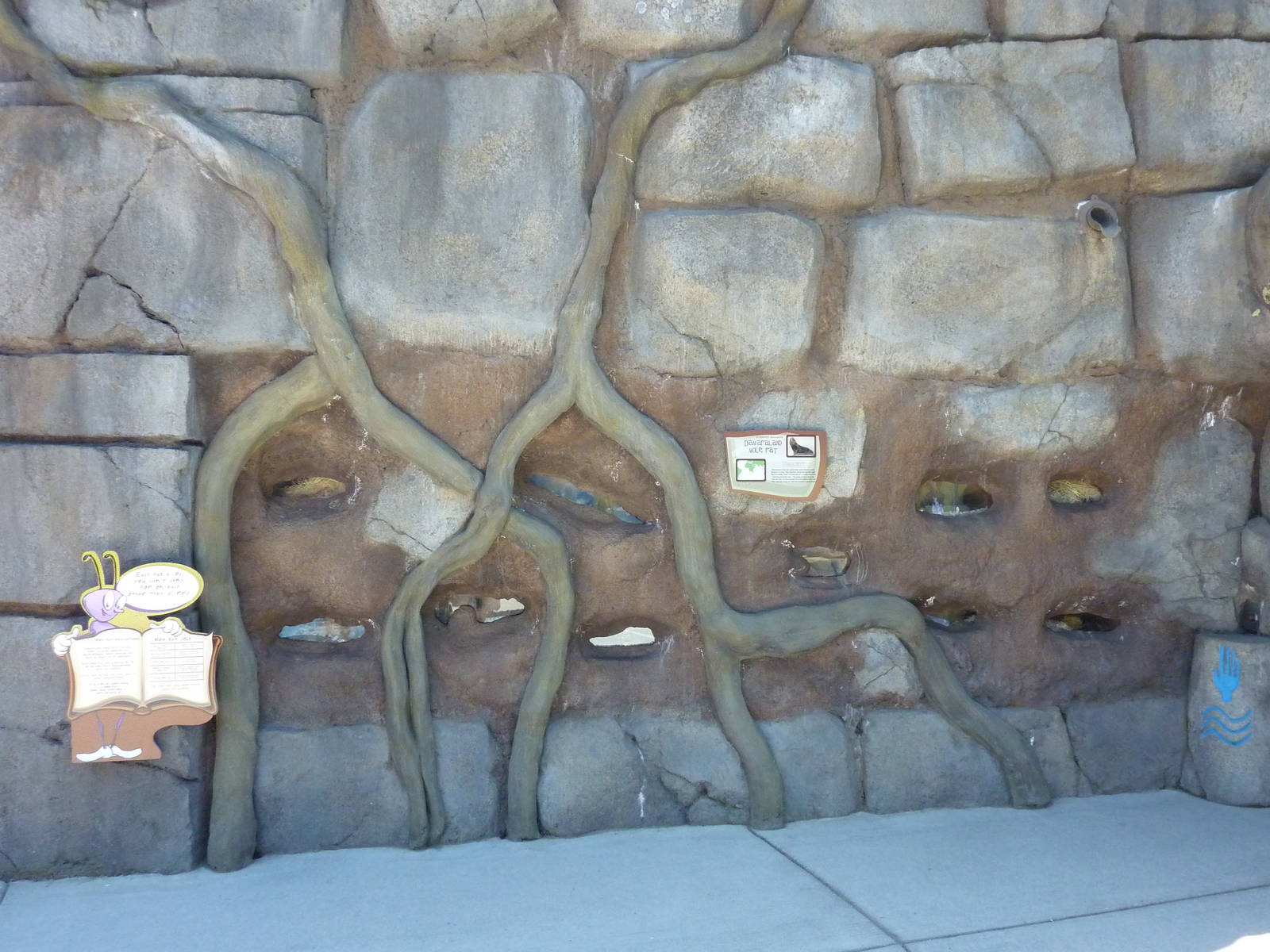 Damaraland Mole Rat Exhibit