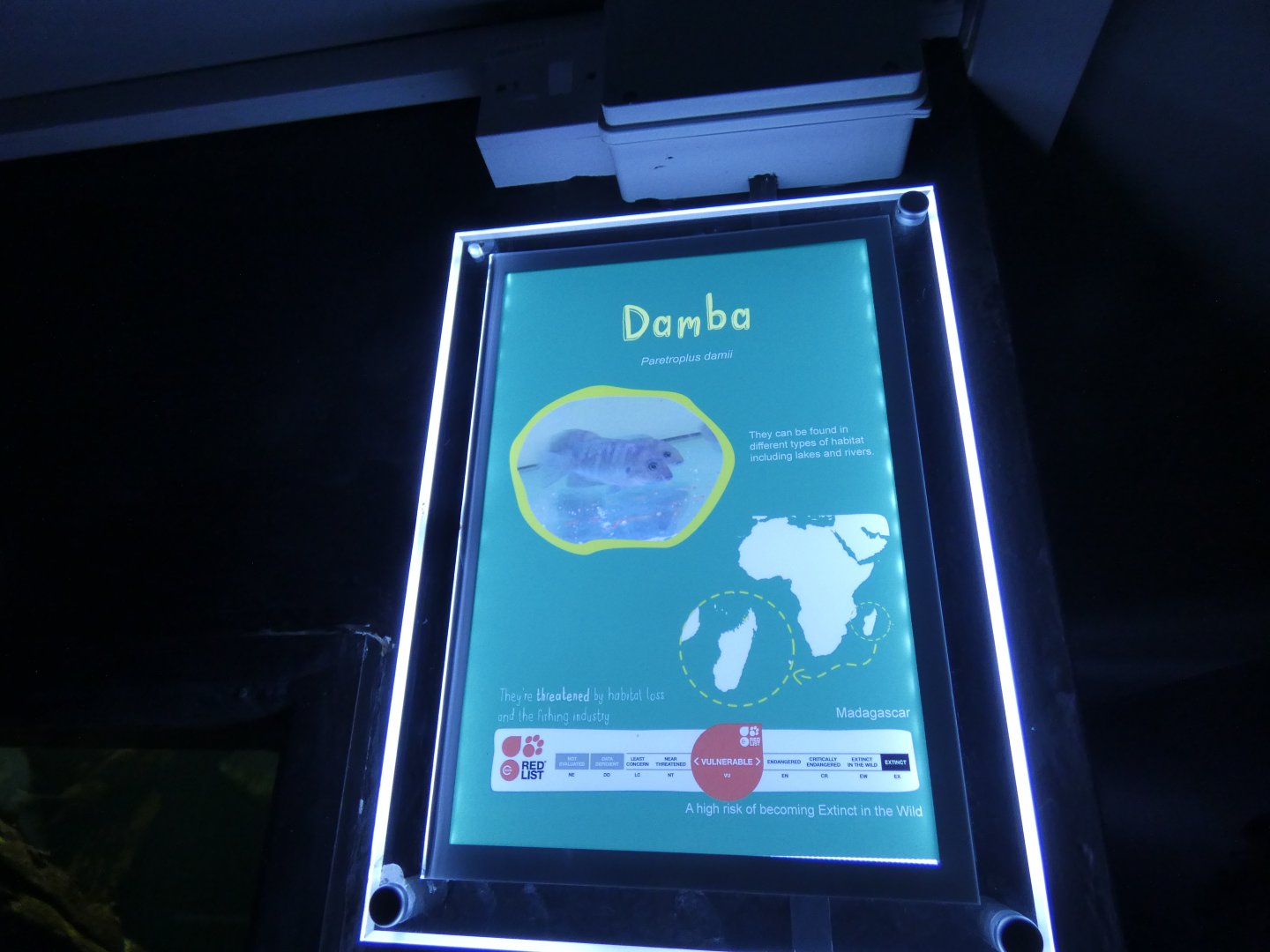 Damba signage