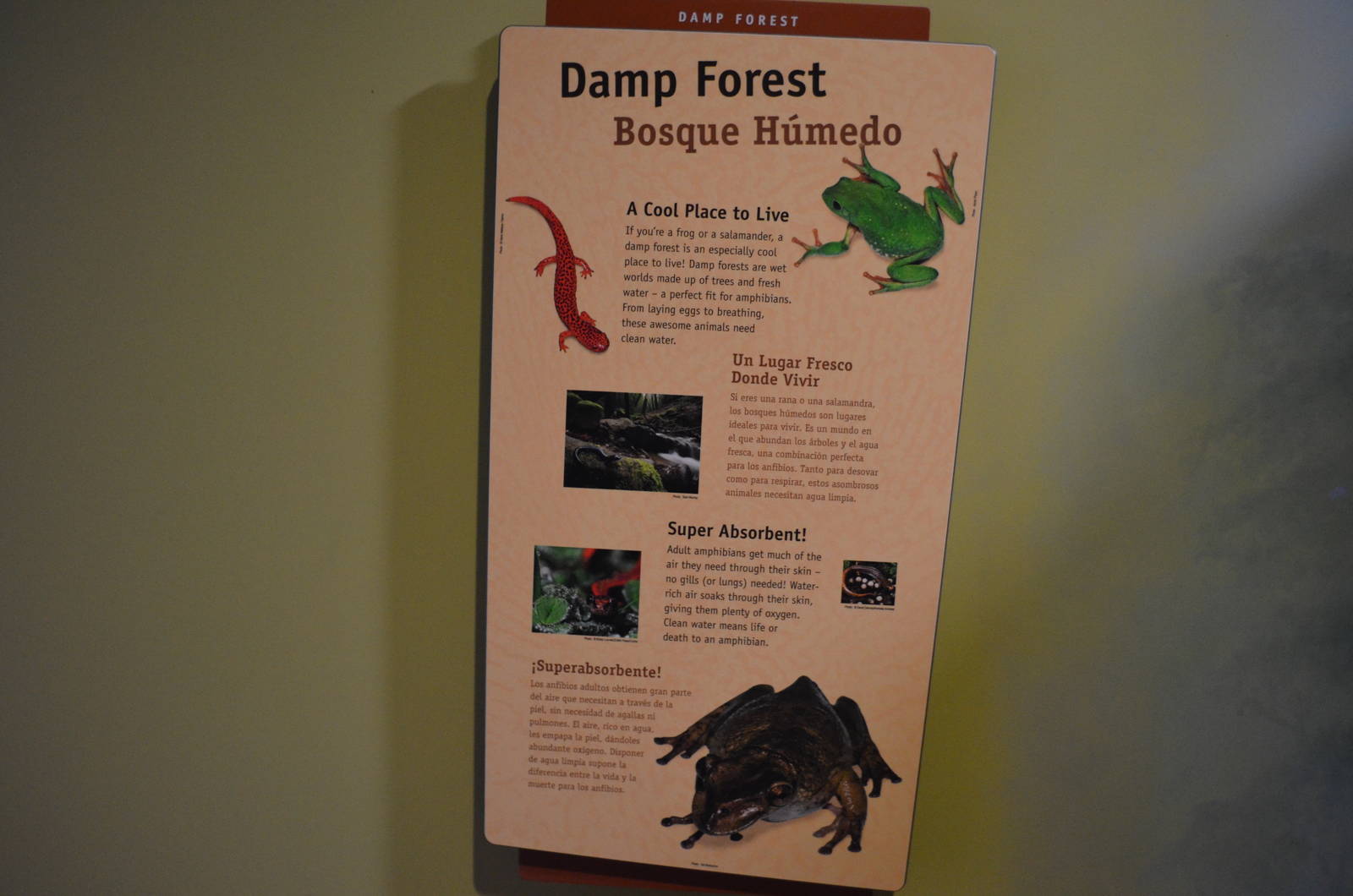 DAMP FOREST SIGNAGE