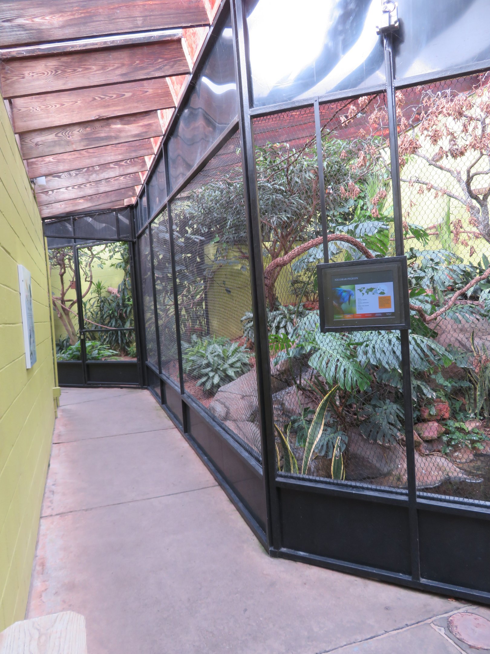 Dan Moran Aviary