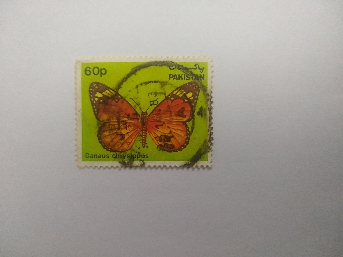 Danaus chrysippus - Postage stamp Pakistan