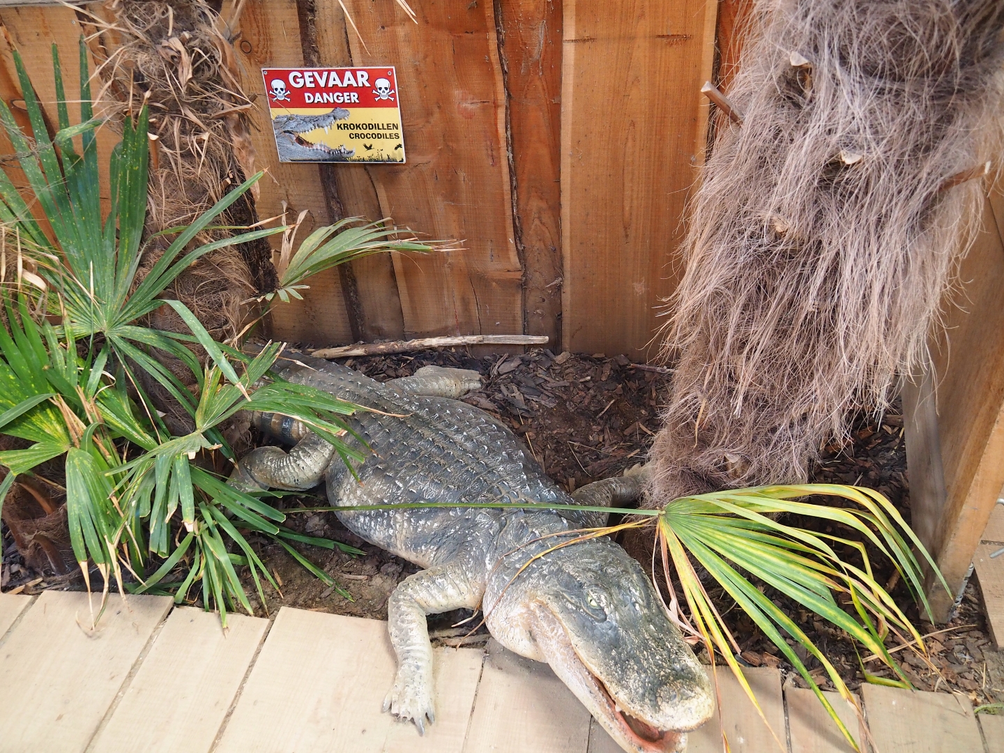 Danger, fake crocodiles!