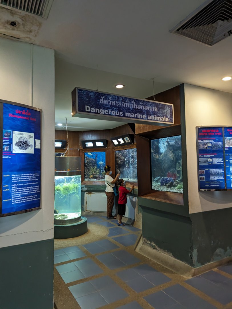 Dangerous Animals Exhibit - Rayong Aquarium