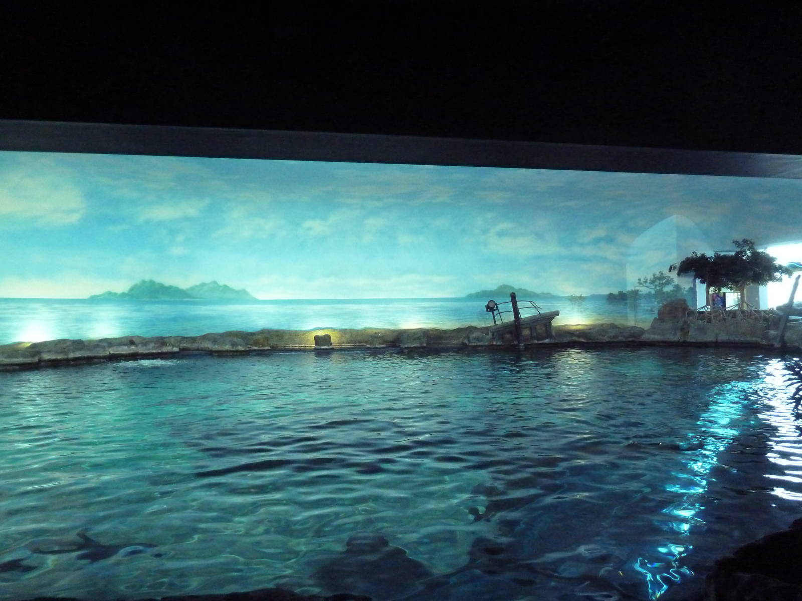 Dangerous Reef (Topside View)