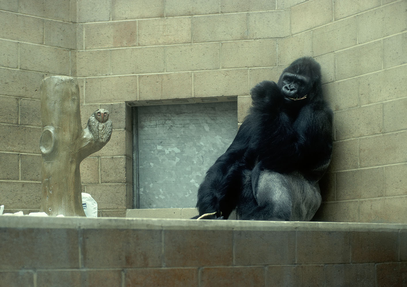 Daniel, 27th July 1983