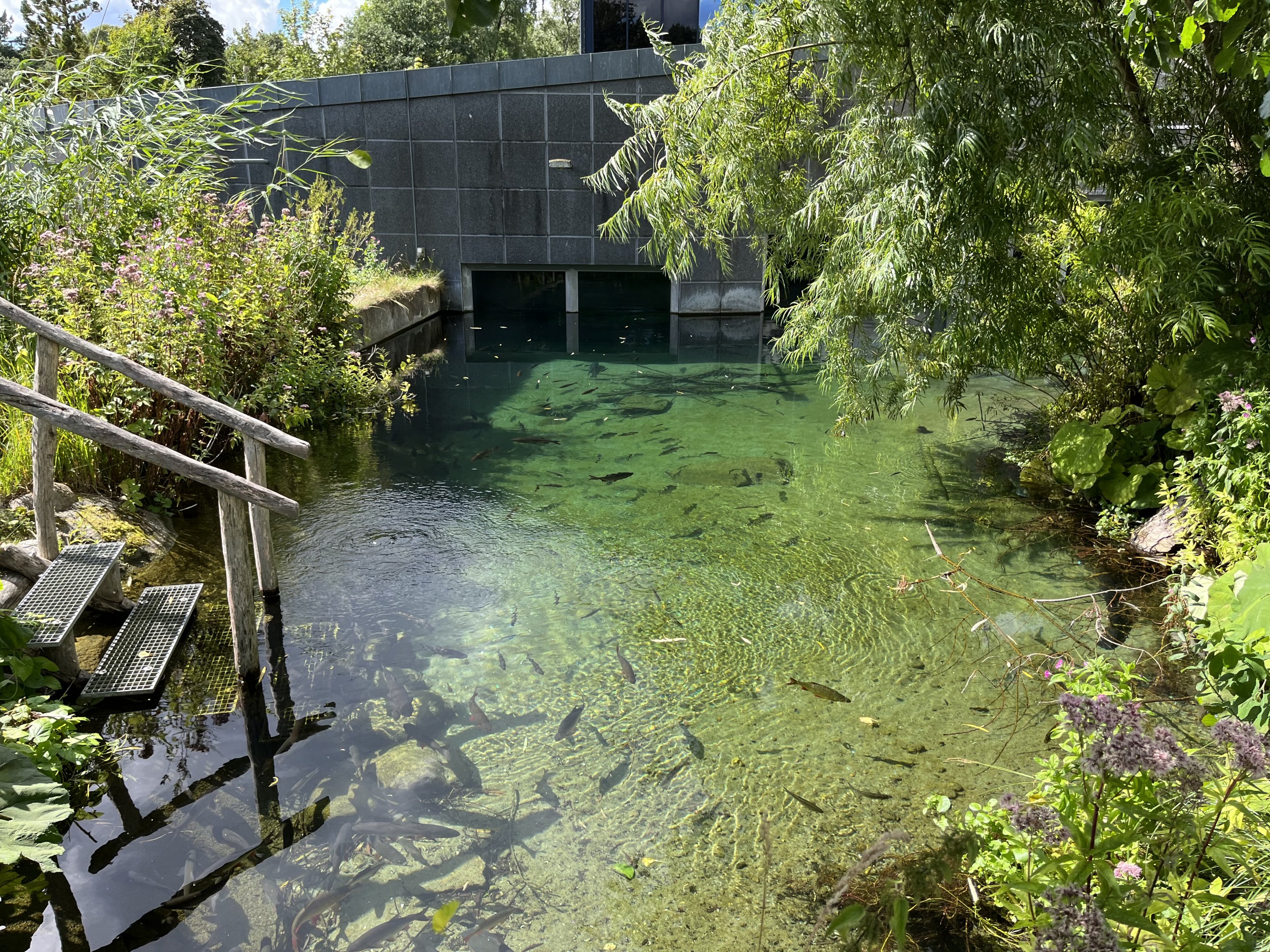 Danish Lakes Exhibit