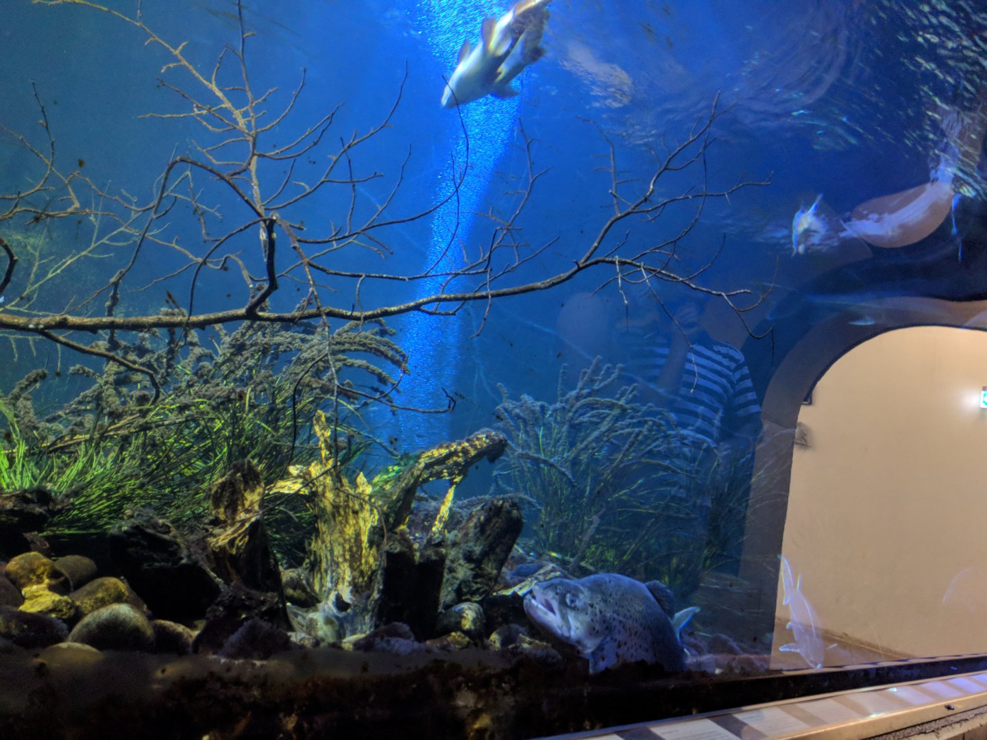 Danube Tunnel left side