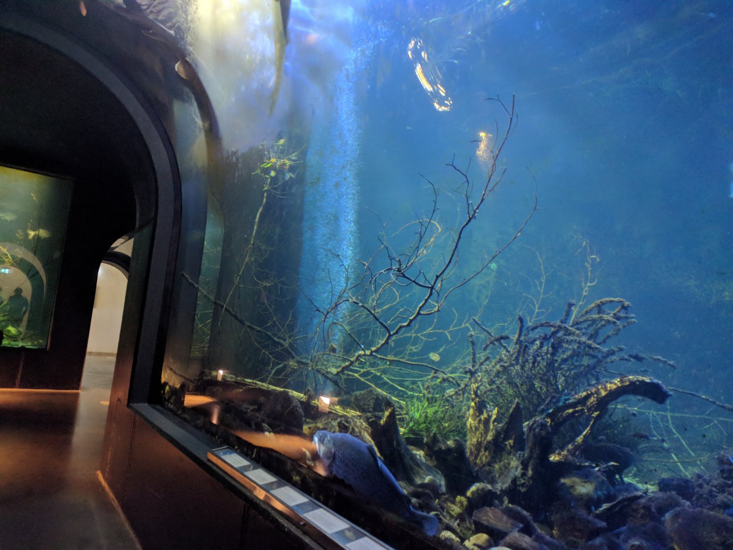 Danube Tunnel right Side