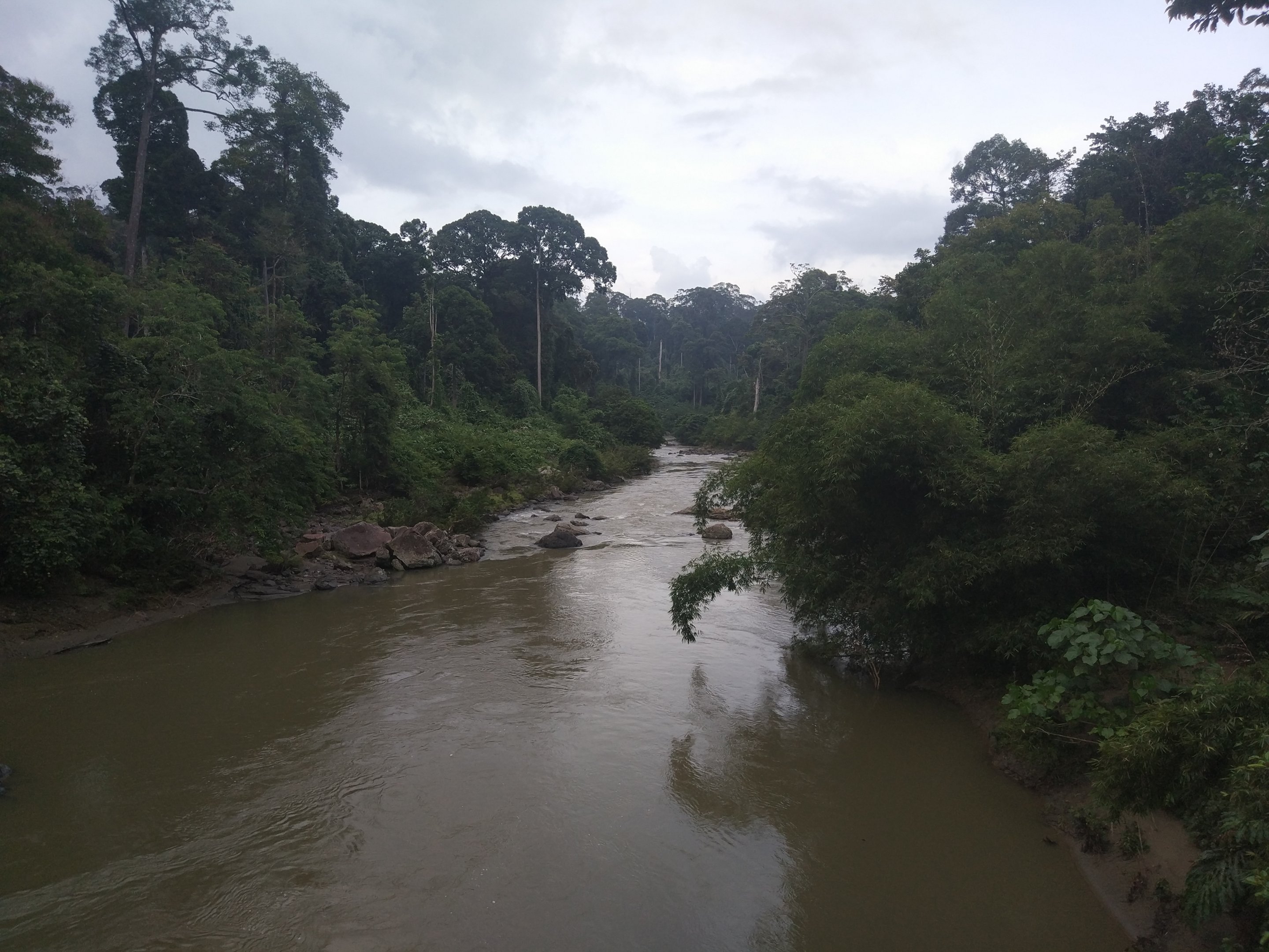 Danum Valley river
