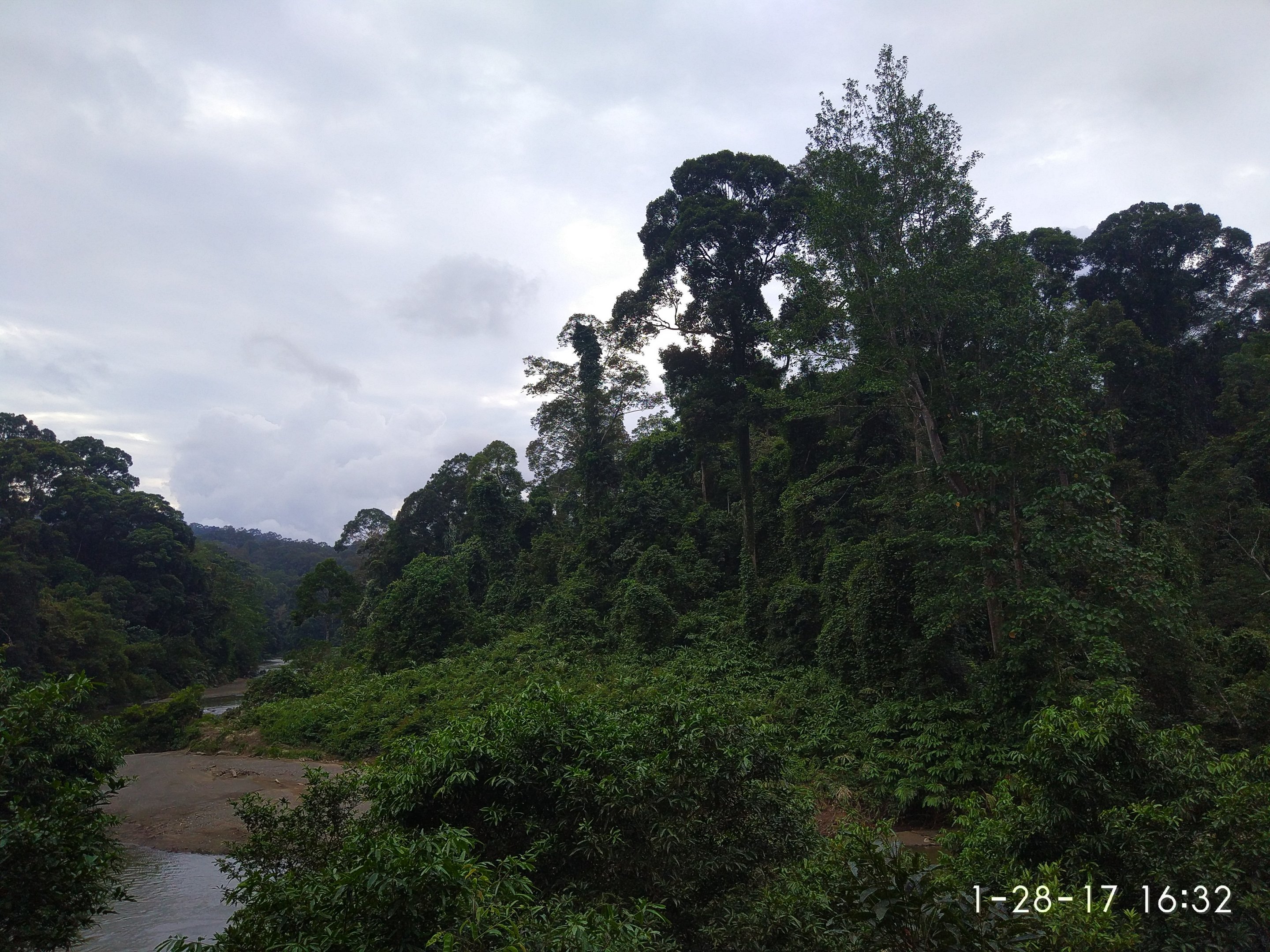 Danum Valley