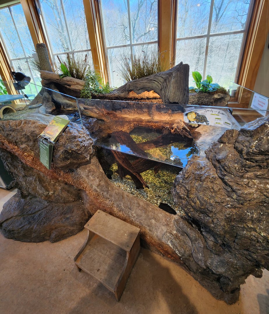 Darien Nature Center (CT) - Connecticut stream exhibit