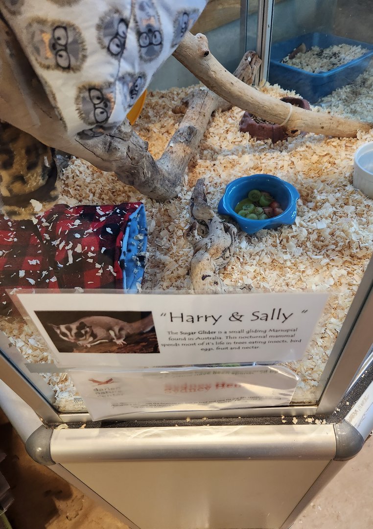 Darien Nature Center (CT) - Sugar Glider sign