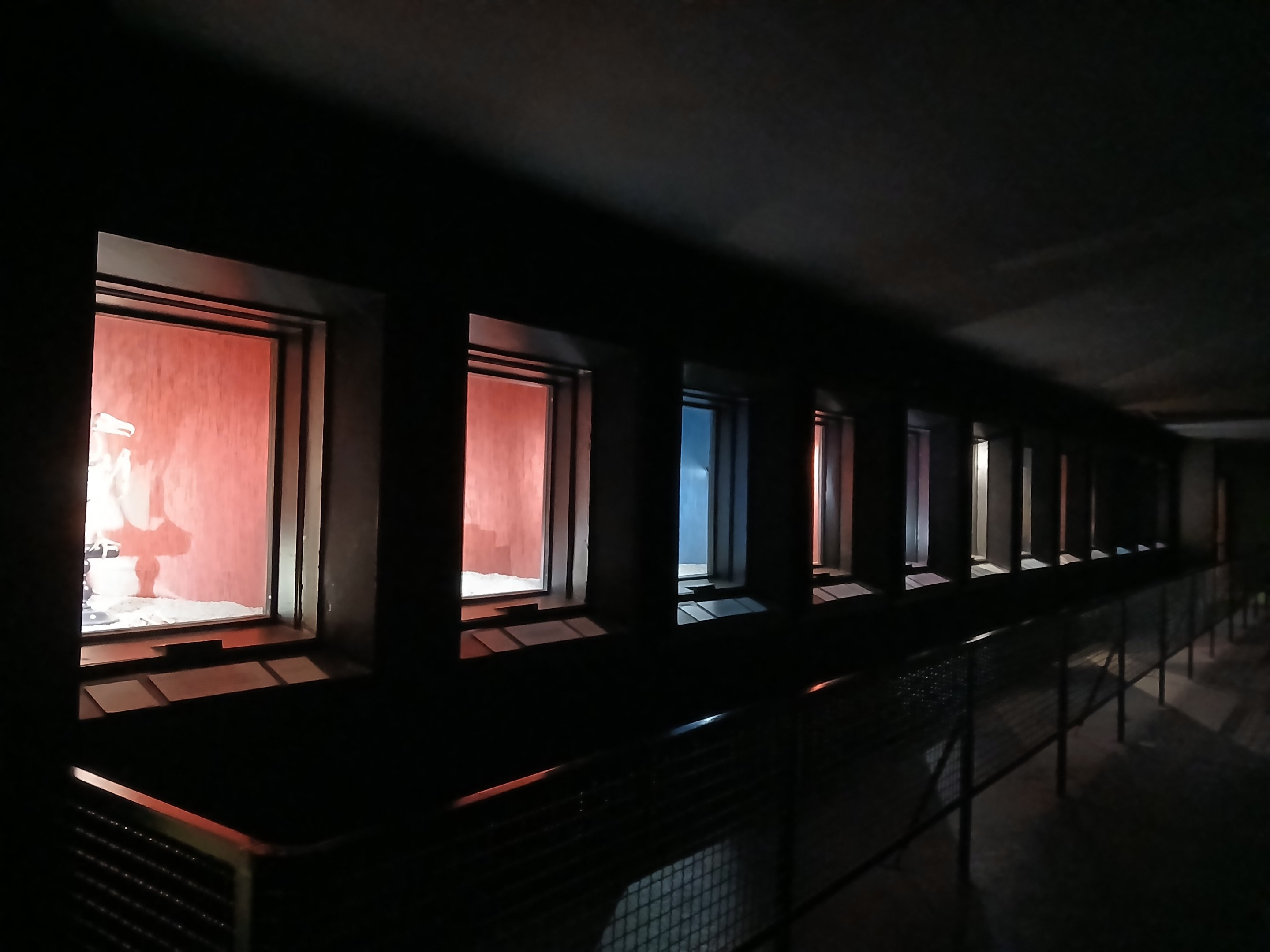 Dark Corridor (30th September 2025)