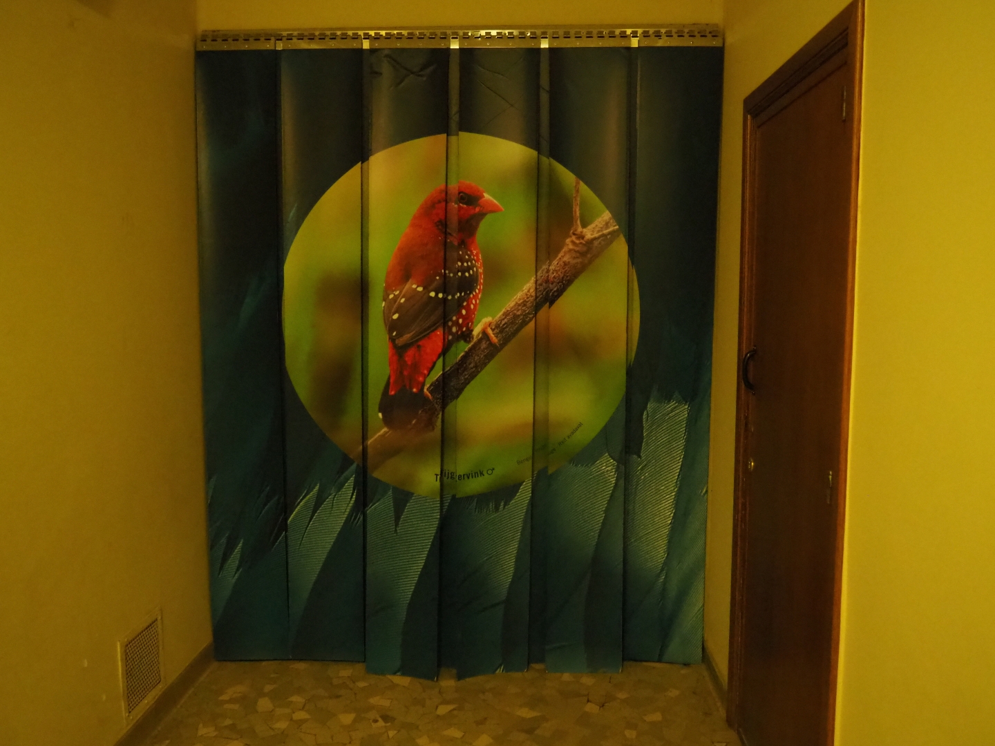 Dark corridor entrance/exit flaps