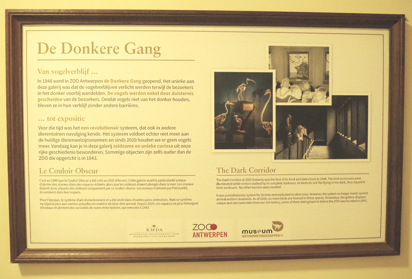 Dark Corridor signage, 2022-03-16