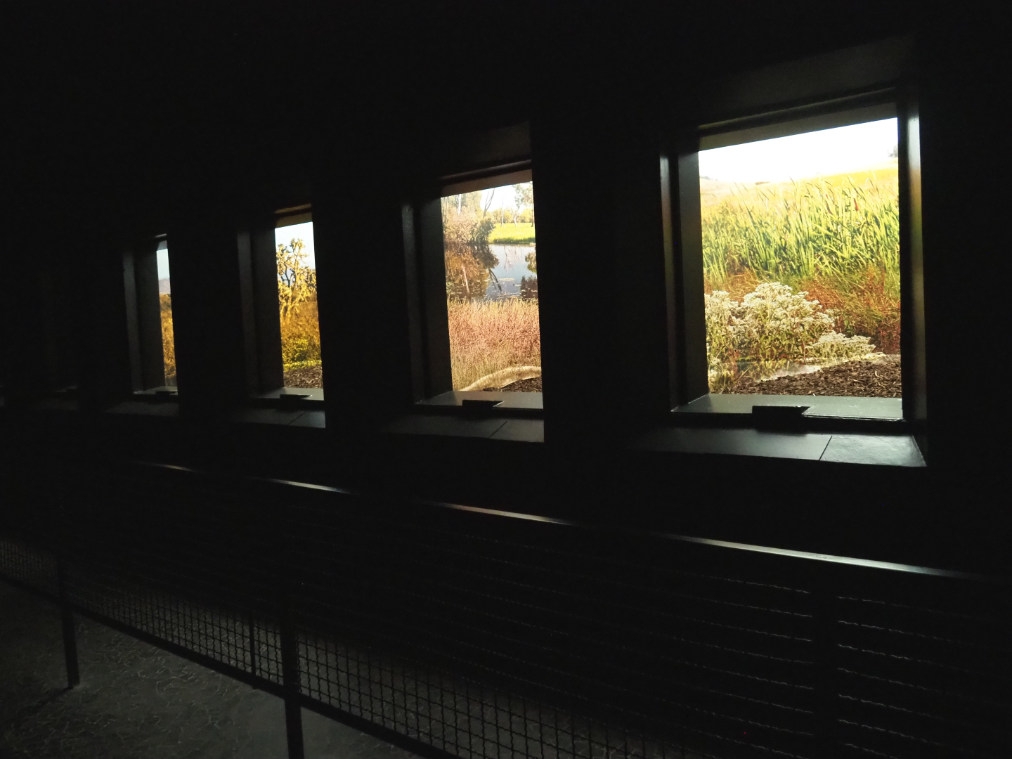 Dark corridor with Antwerp cage system, now no longer used as an aviary, 2020-09-20