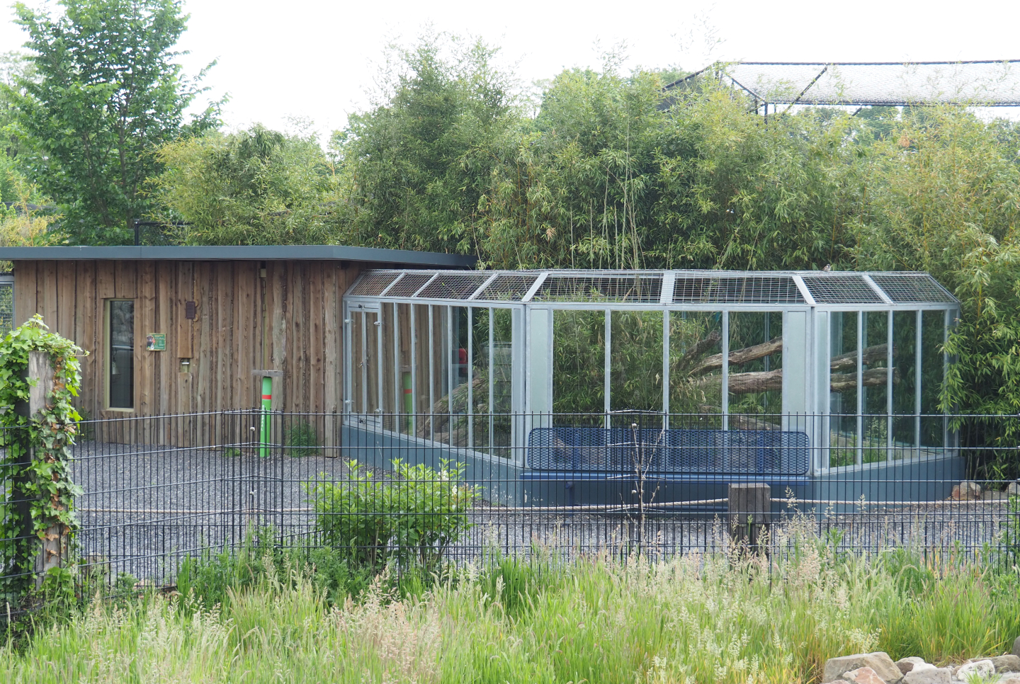 Dark cusimanse exhibit, 2022-05-17