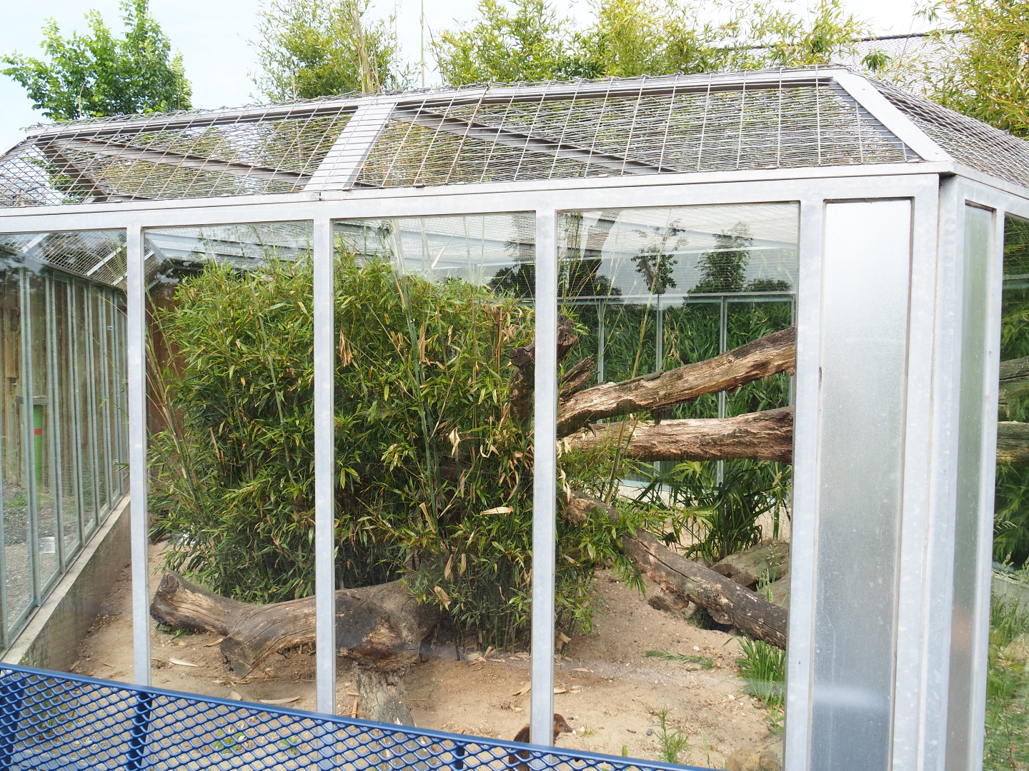 Dark cusimanse exhibit, 2022-05-17