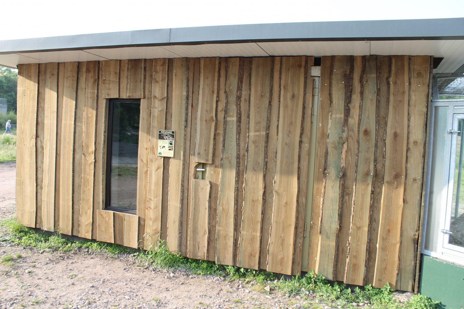 Dark cusimanse indoor-enclosure