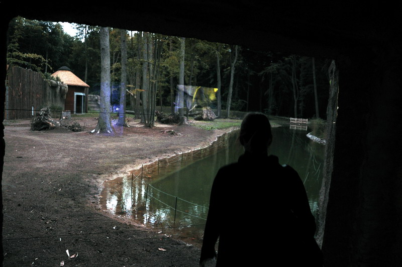 Dark window at Rostock