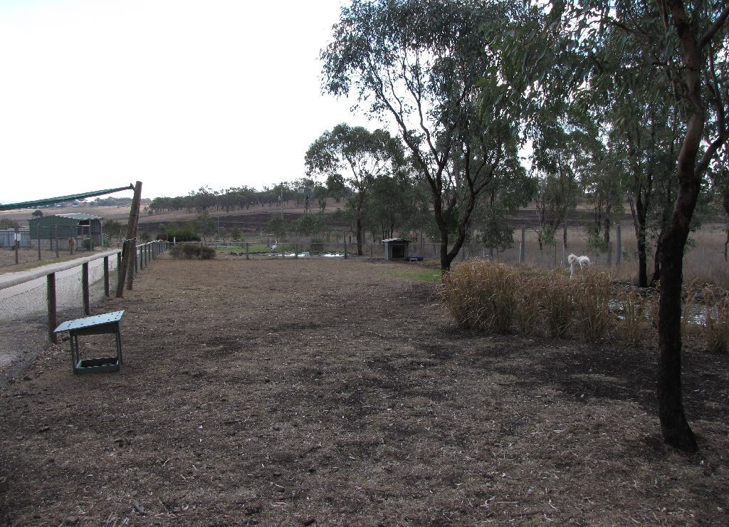 Darling Downs Zoo 19 Oct 2009 - Waterfowl Ponds