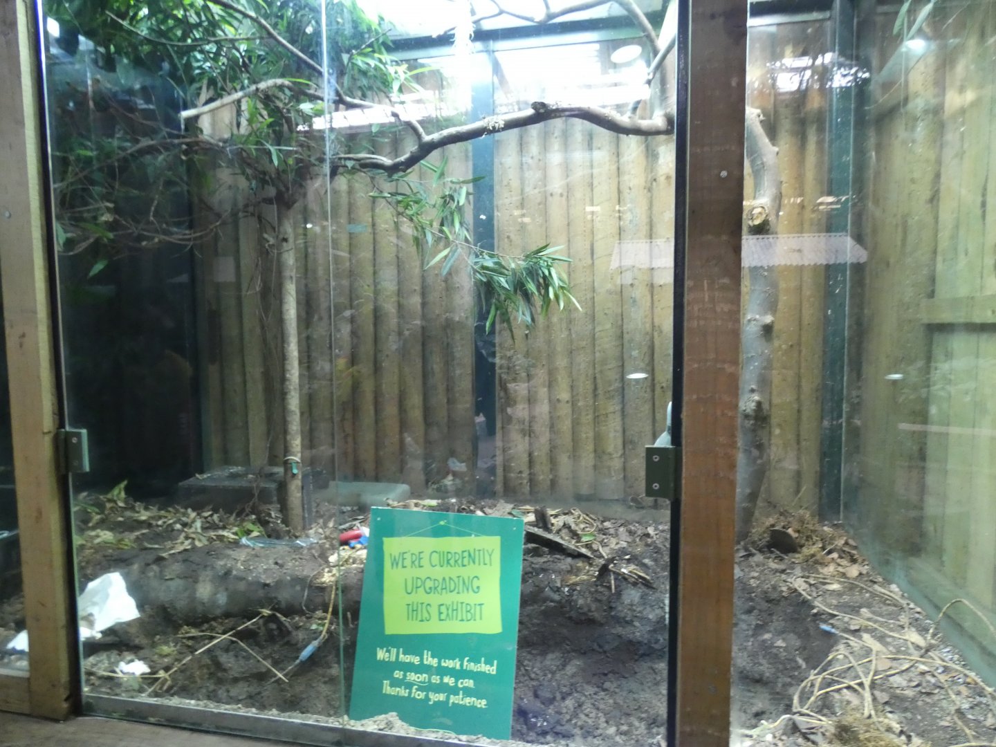 Dart Frog Enclosure in Tropical Realm under-refurbishment