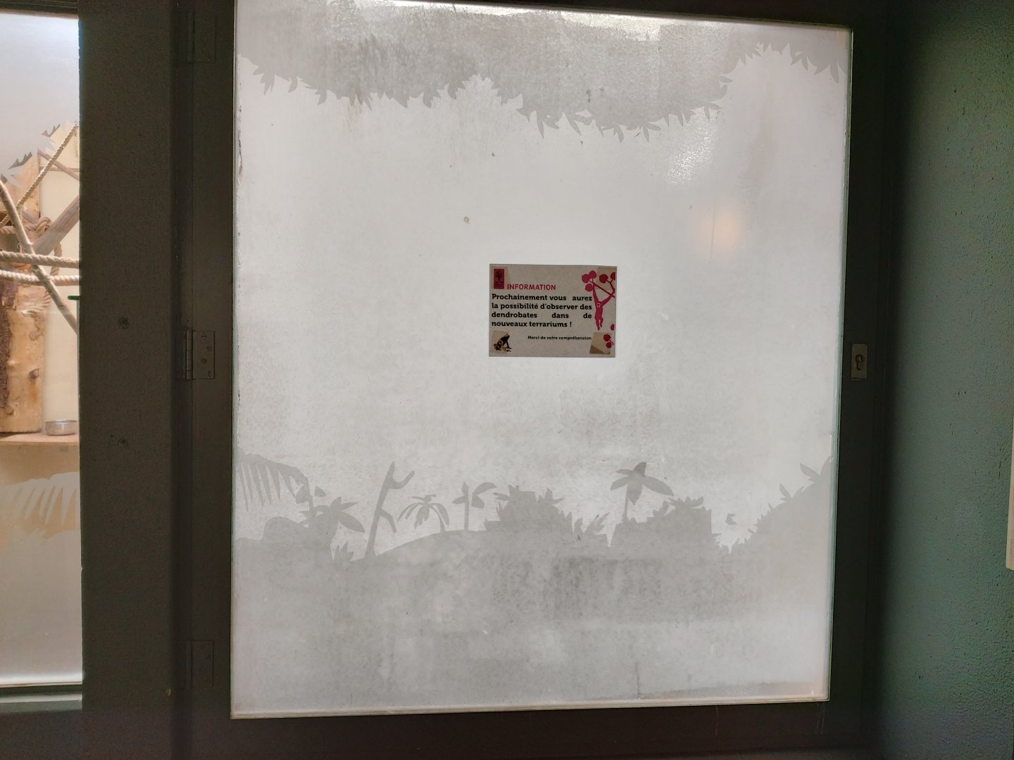 Dart frog terrarium in construction - Petite Amazonie