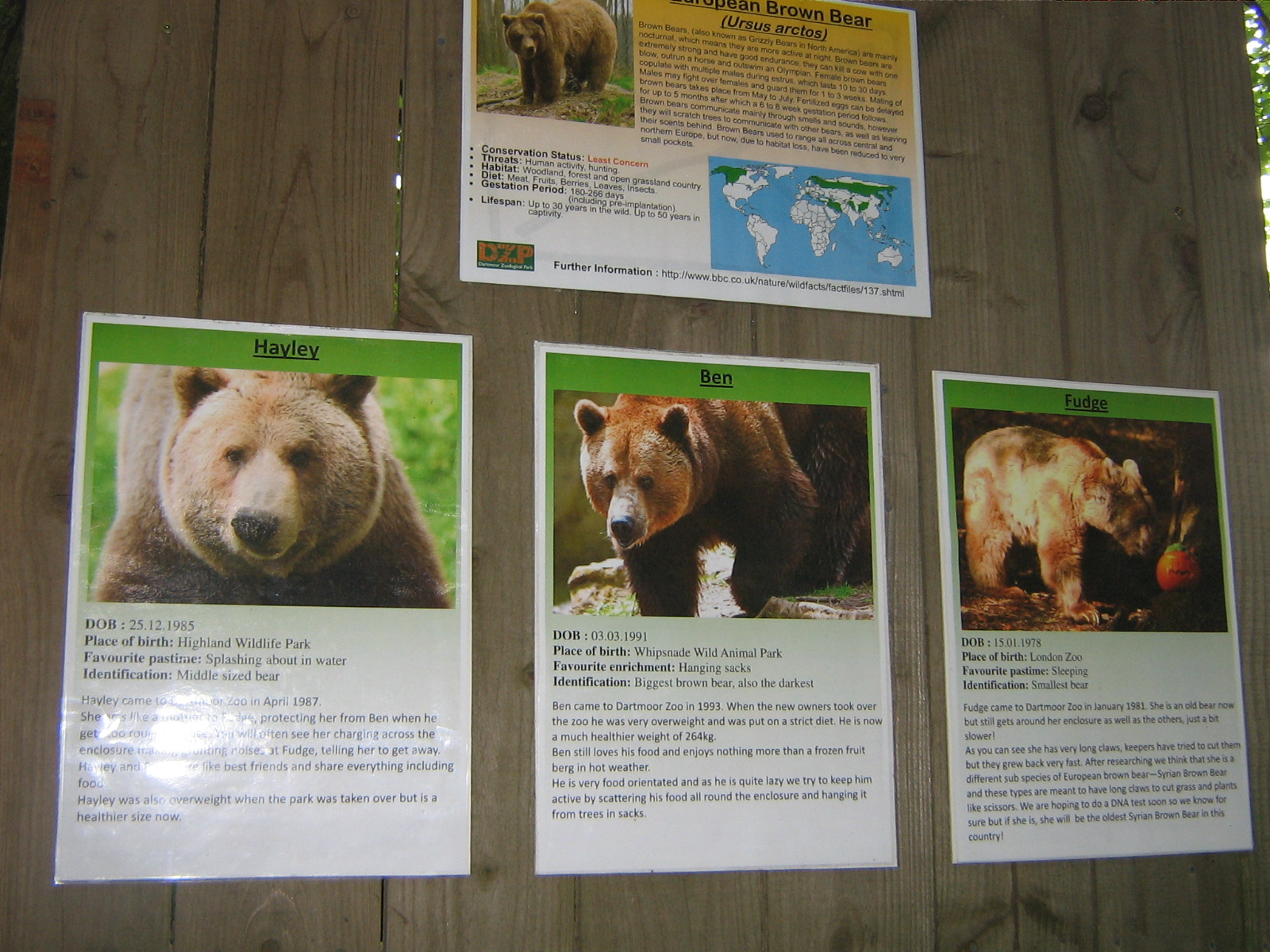 Dartmoor Zoo June 2009