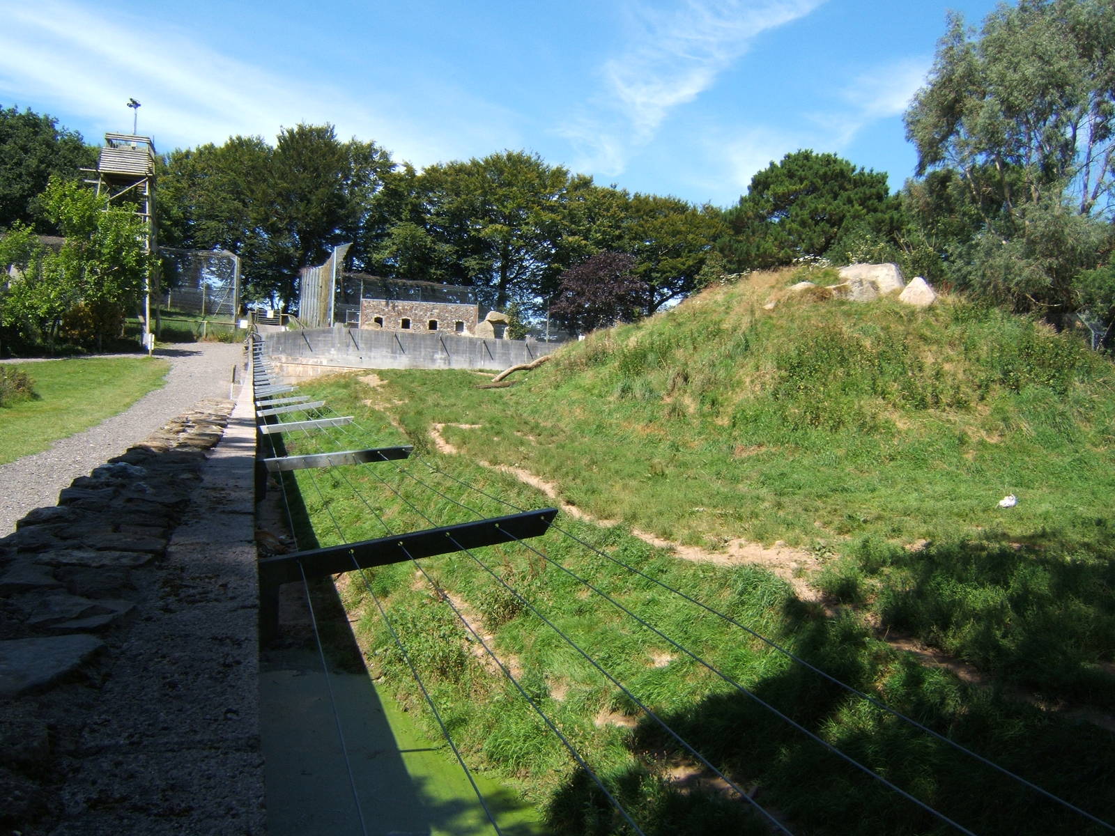 Dartmoor Zoological  Park tiger enclosure