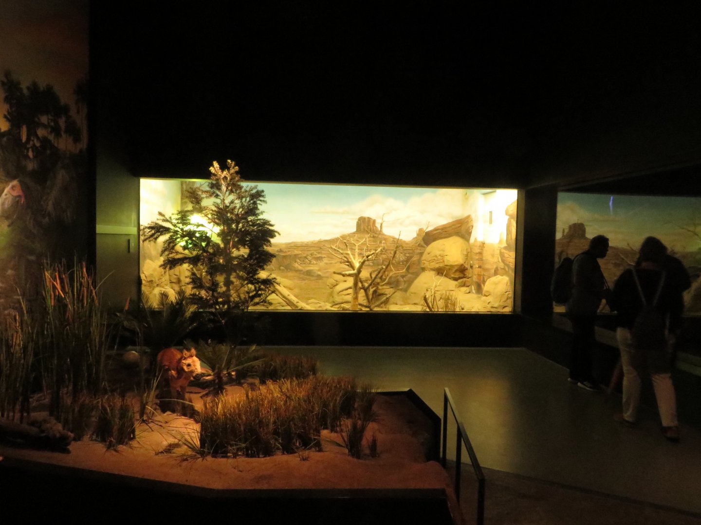 Darwineum - age of mammals