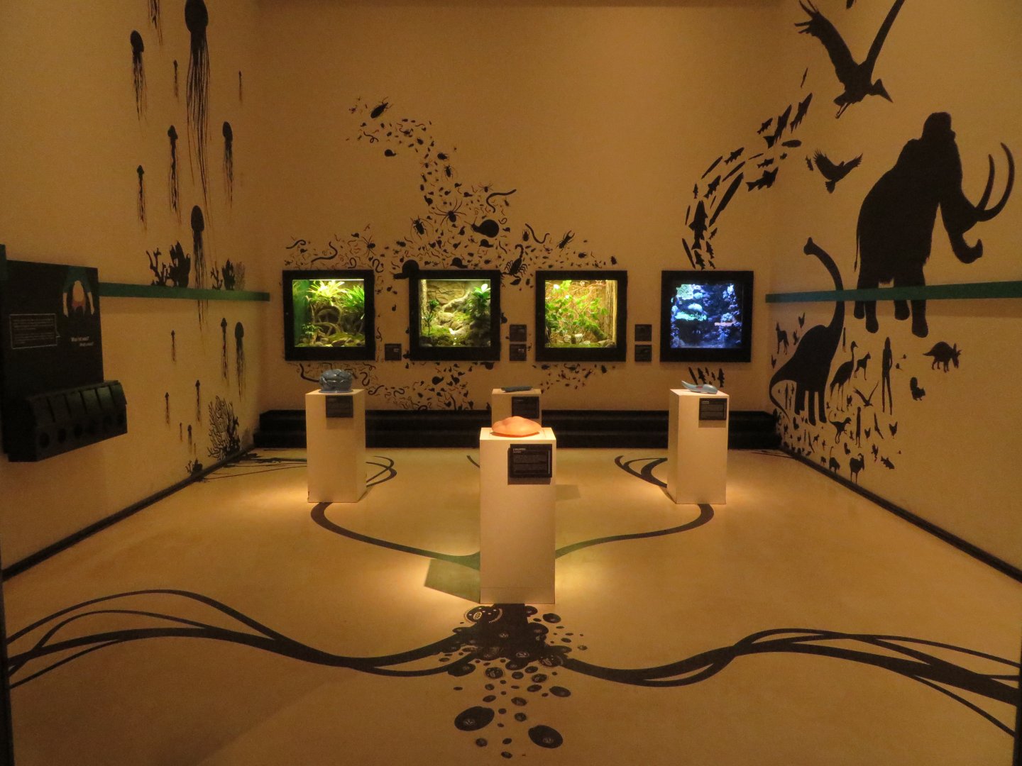 Darwineum - building blocks of life