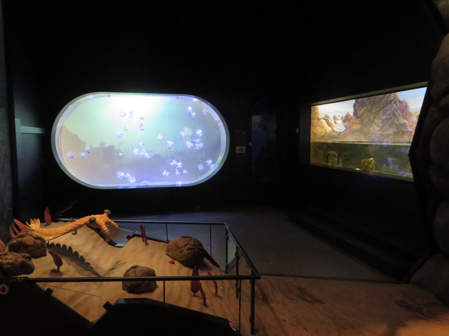 Darwineum - Cambrian life forms