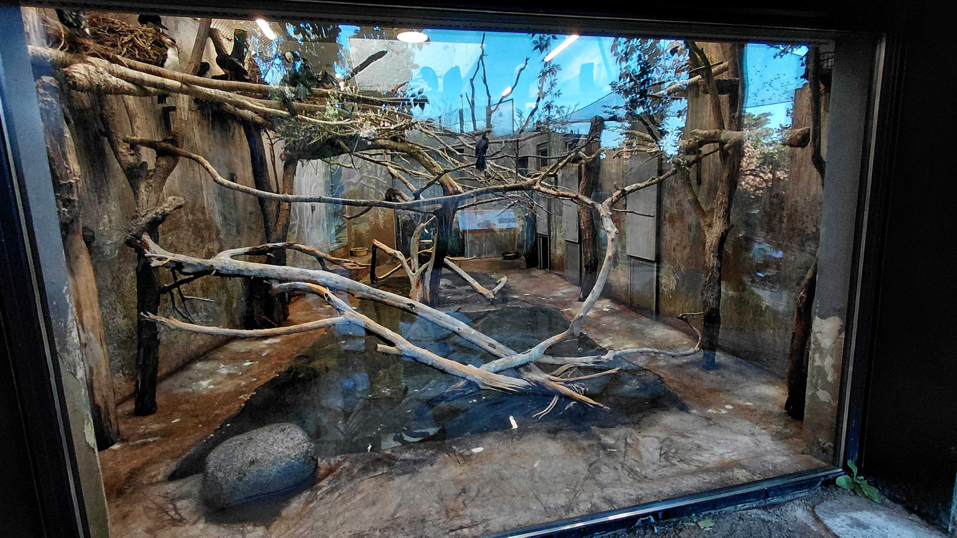 Darwin's crater - Australian birds indoor exhibit
