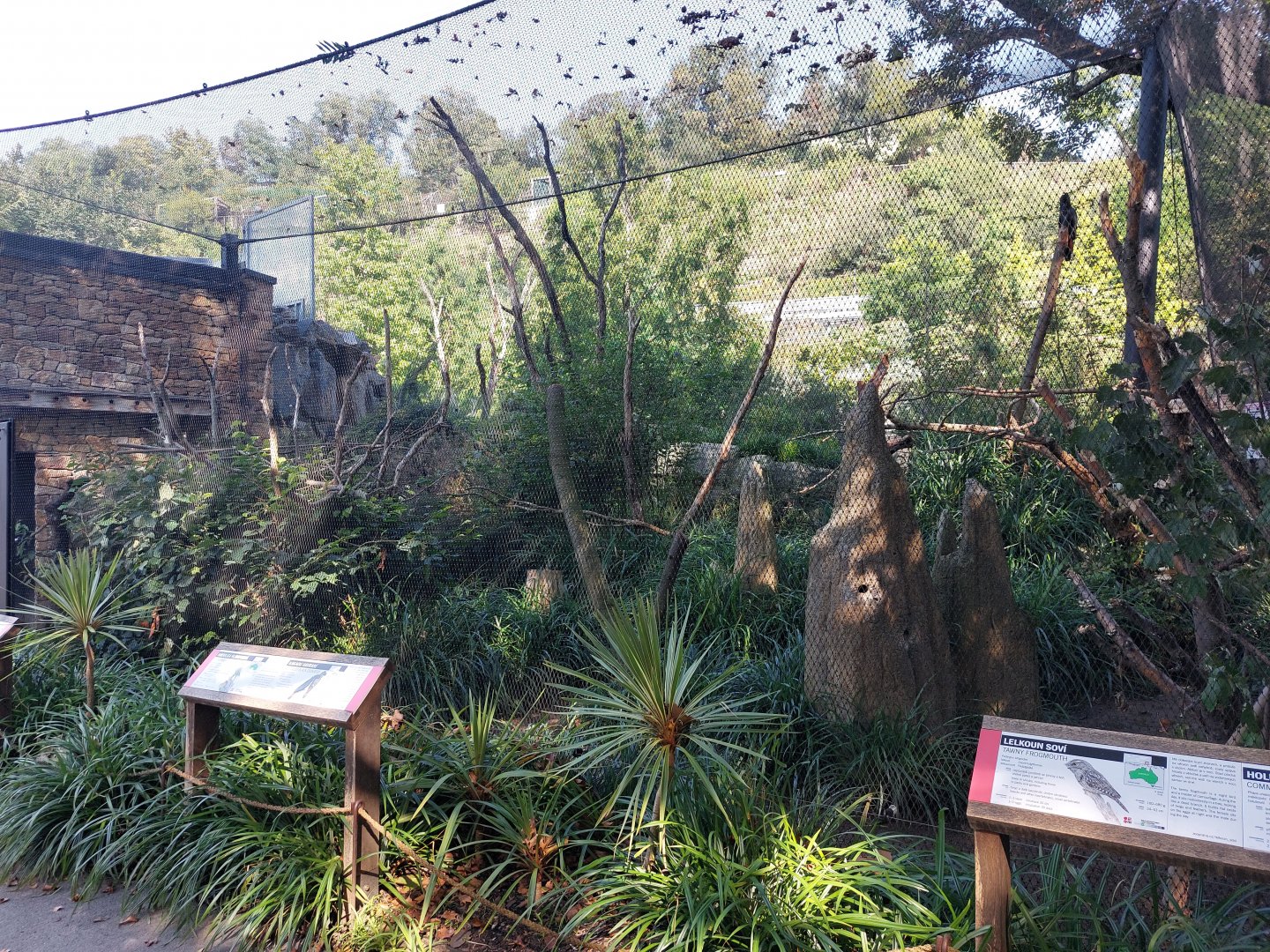 Darwin's crater - Bush aviary