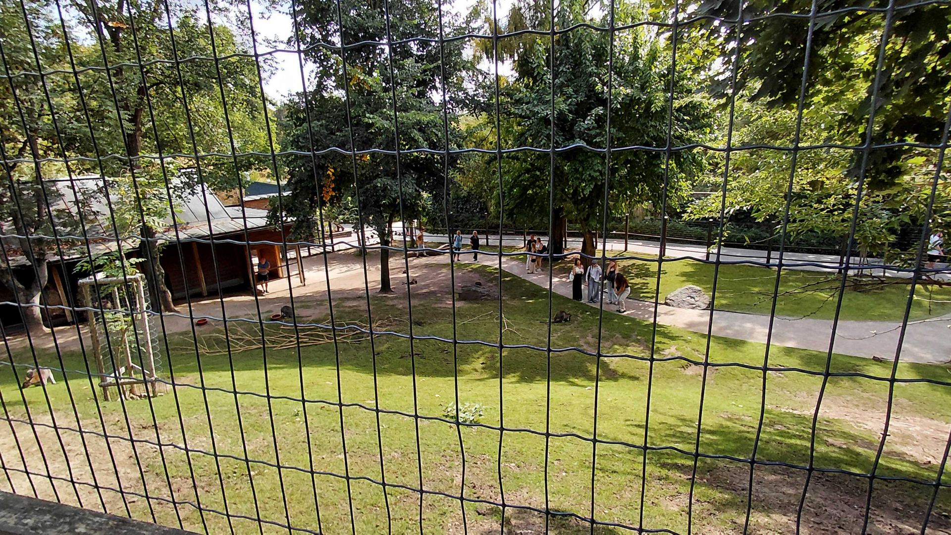 Darwin's crater - Kangaroo exhibit