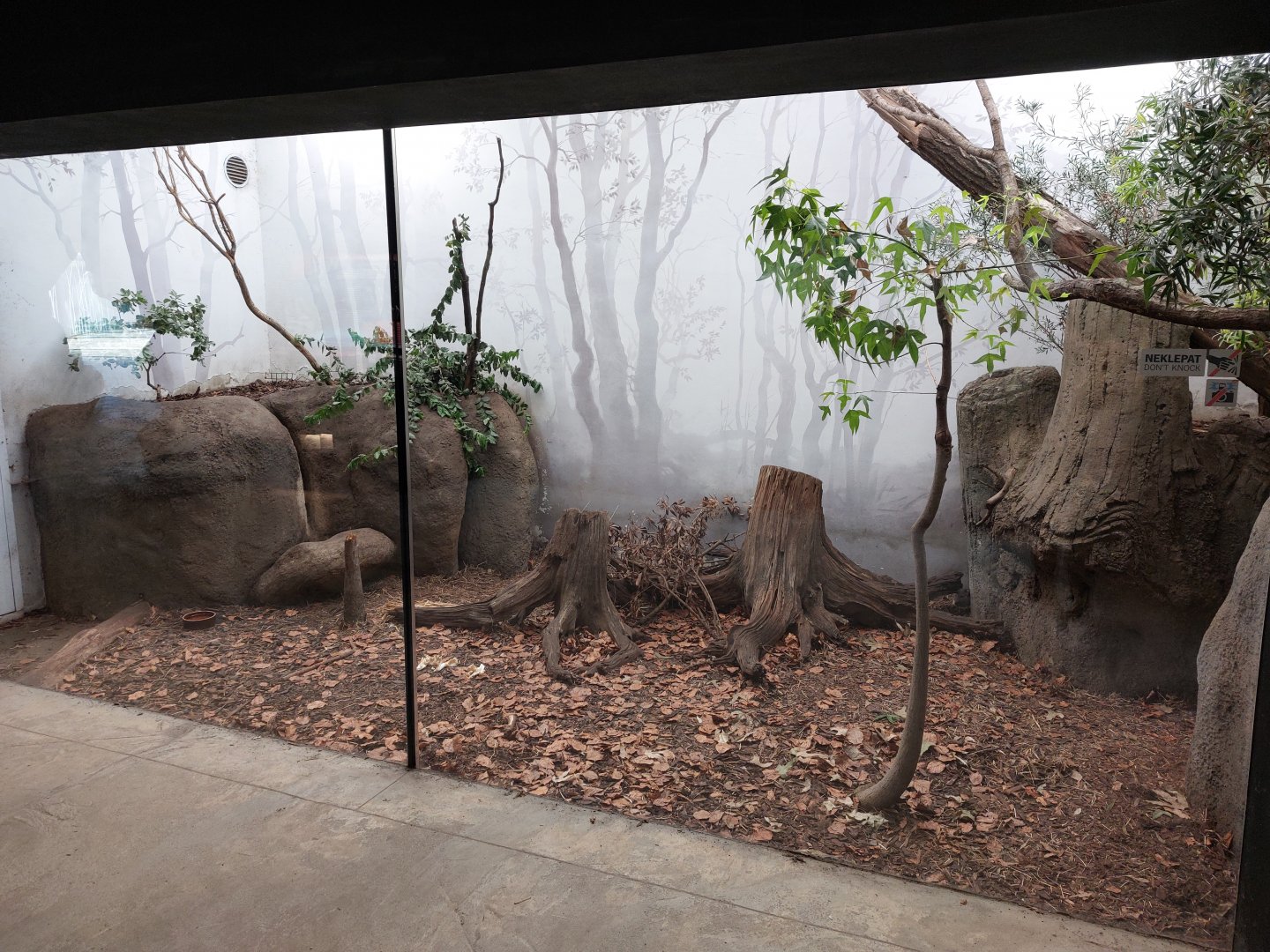 Darwin's crater - Long-nosed potoroo & echidna exhibit