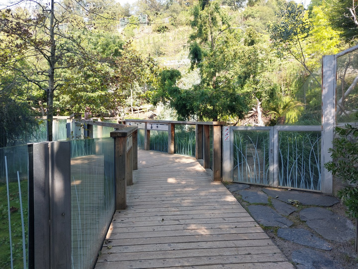 Darwin's crater - pathway