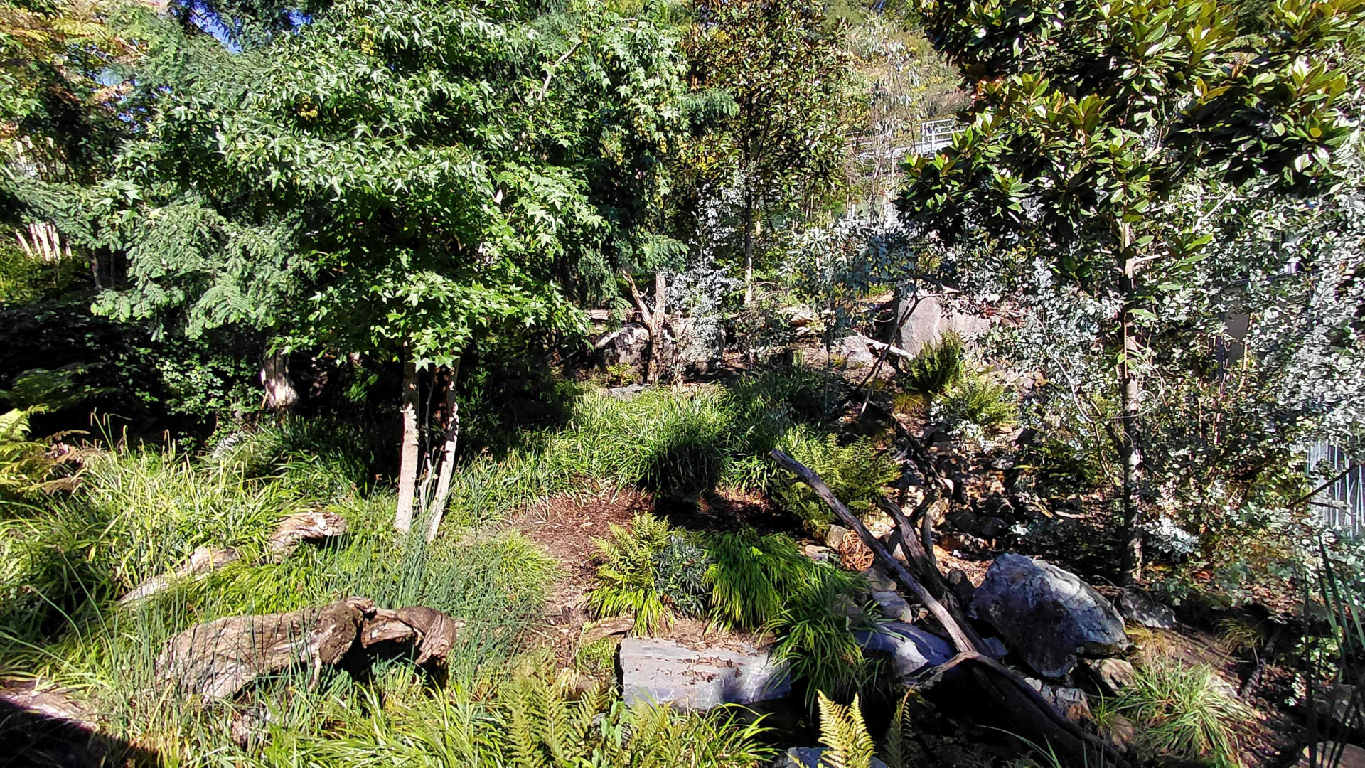 Darwin's crater - Tasmanian devil outdoor exhibit