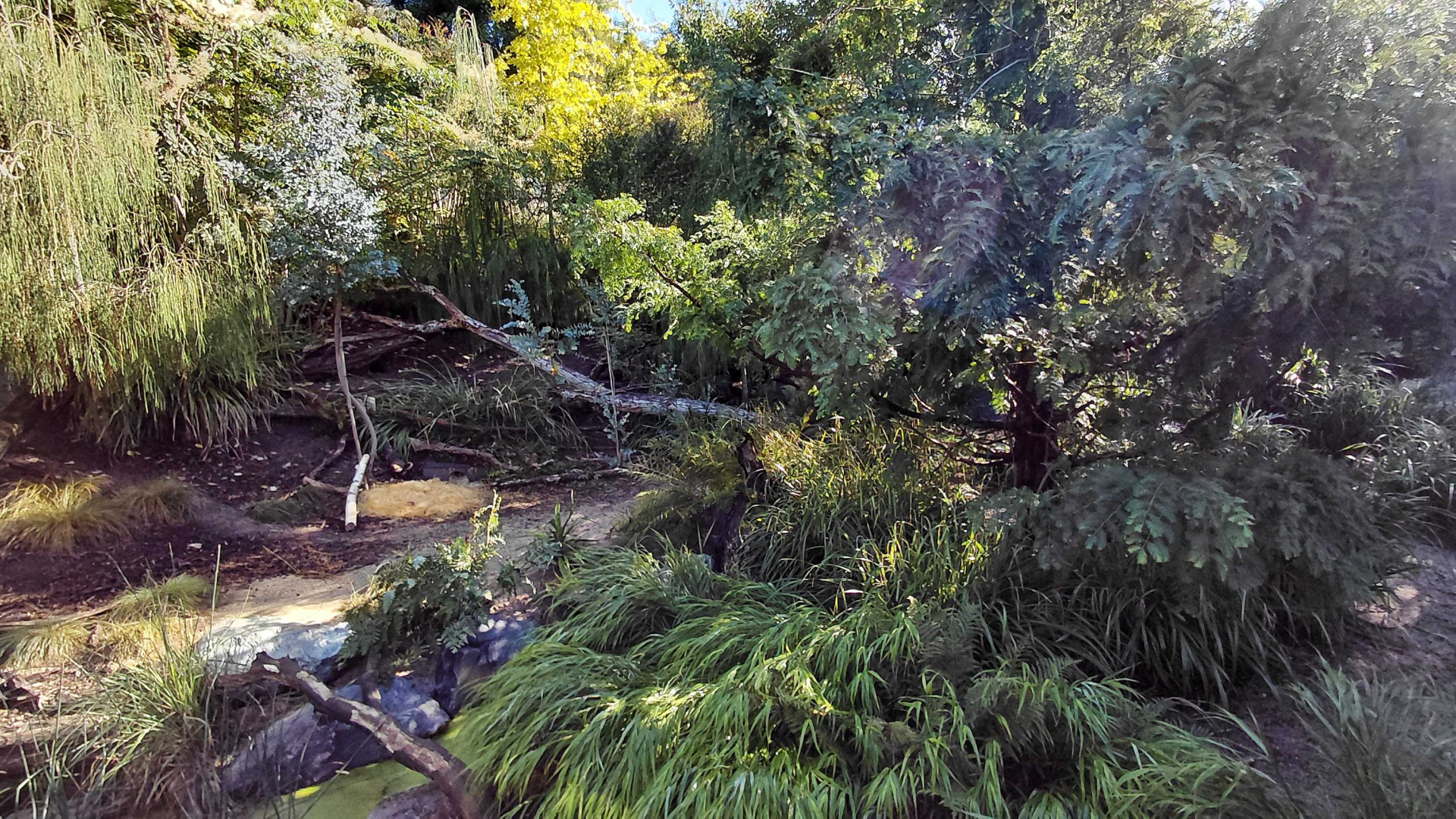 Darwin's crater - Tasmanian devil outdoor exhibit
